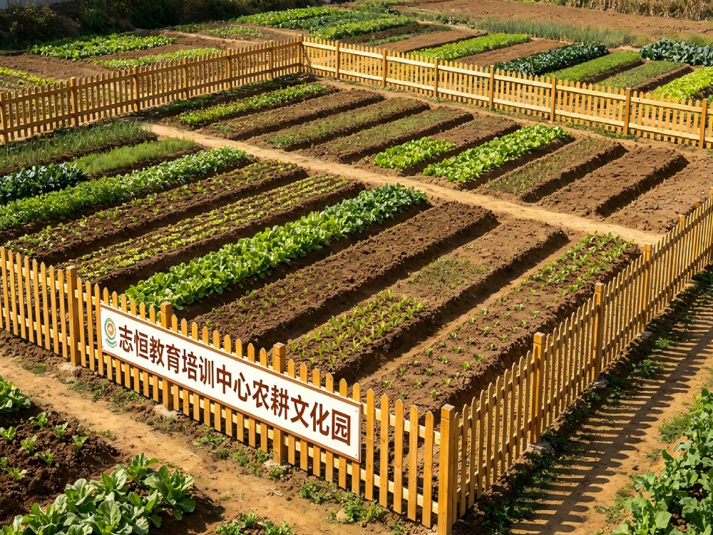 甘孜家长必读:叛逆孩子全封闭管教学校选择指南